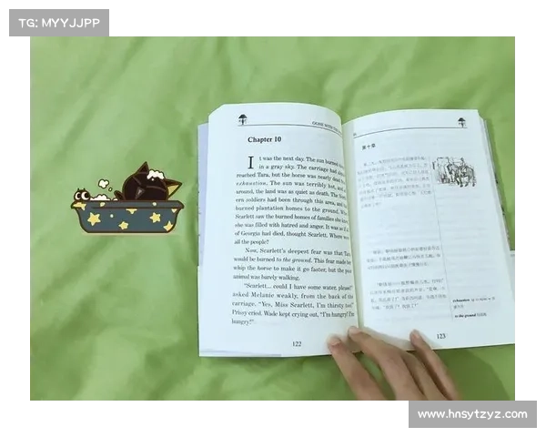 布克职业生涯中最具启发性的经历与成长轨迹分析